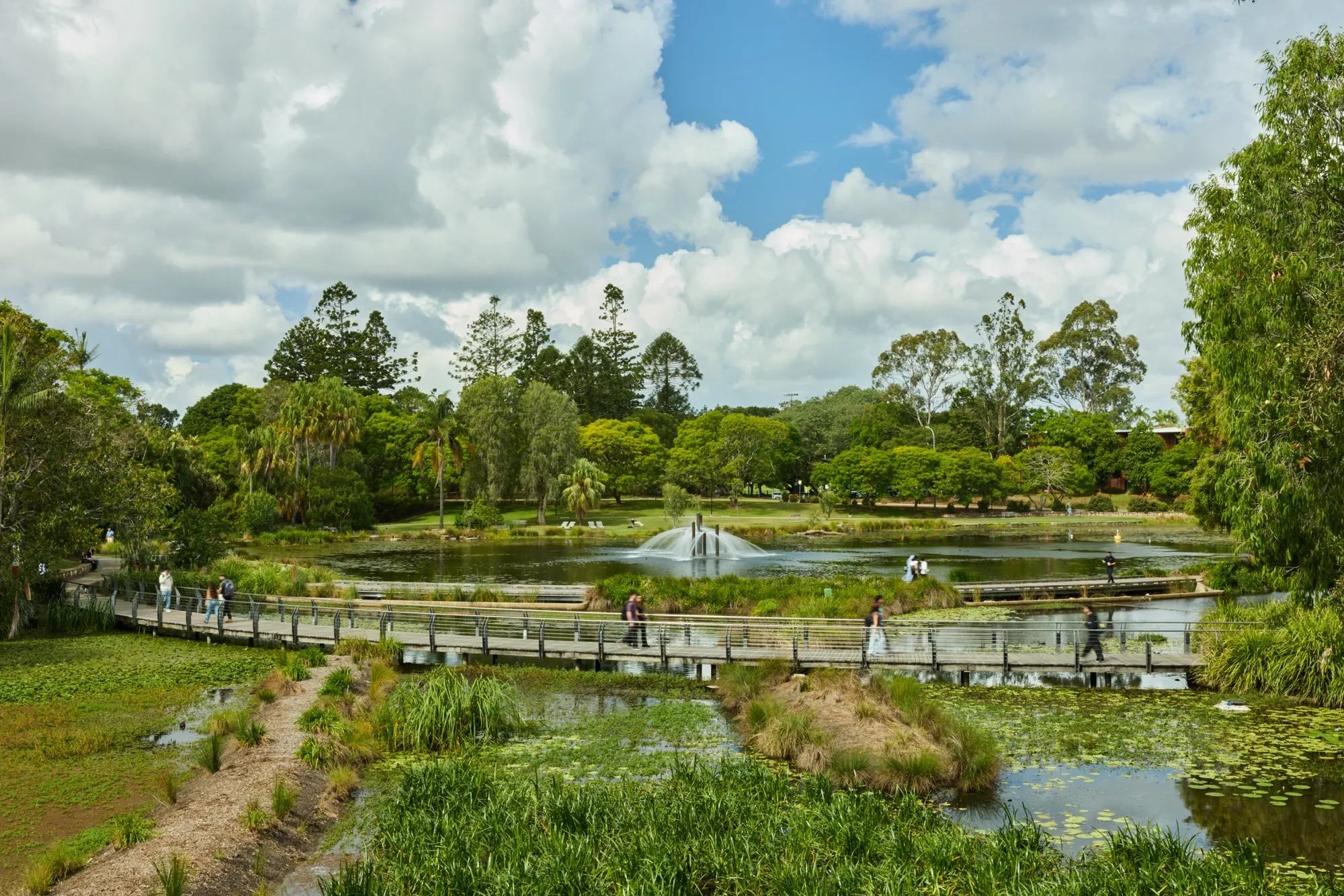 The UQ Lakes on the St Lucia campus